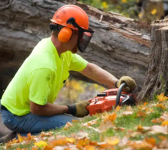 tree services Onsted